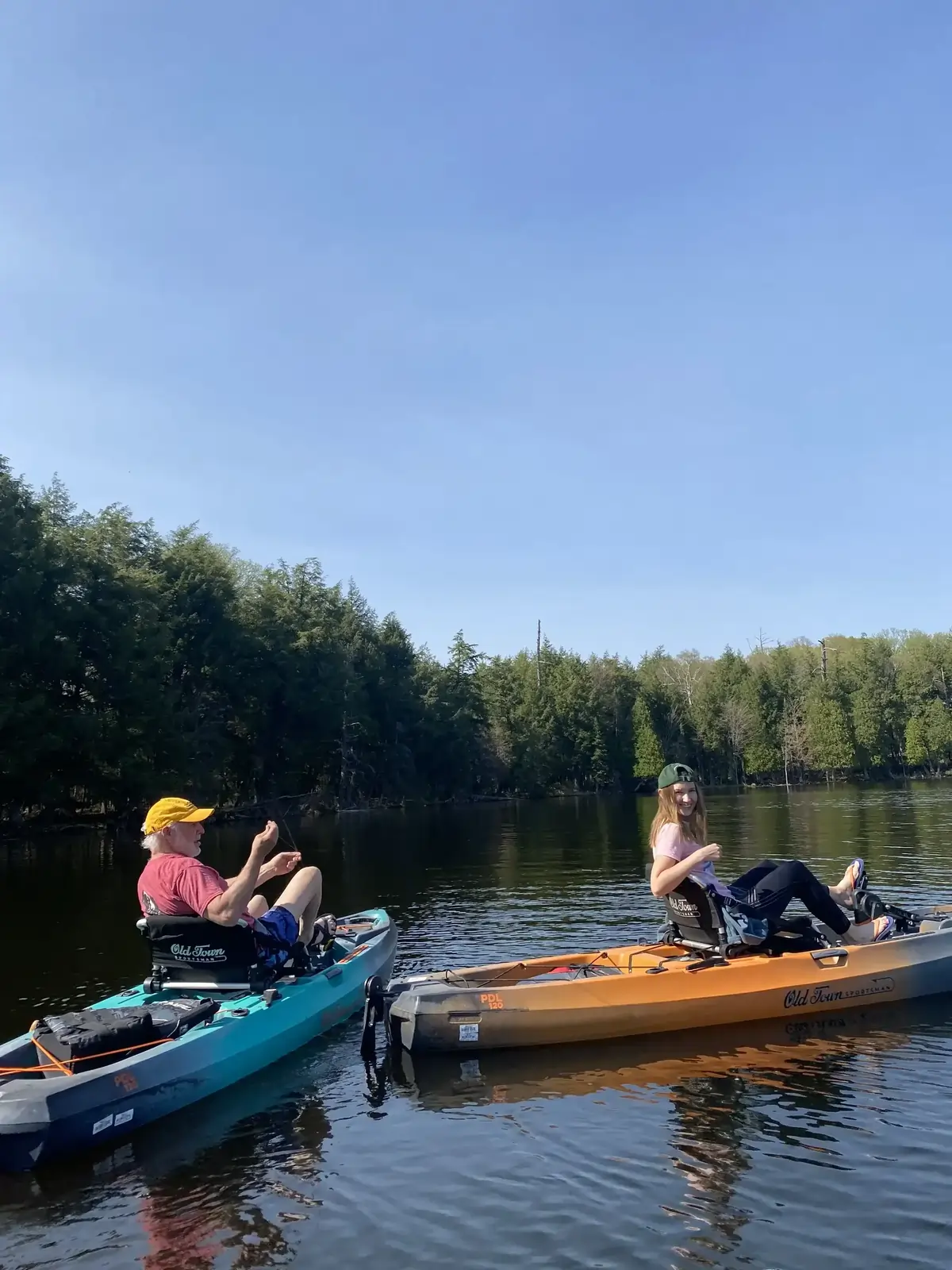 Paddle lying next to a serene lake in Michigan